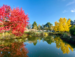 OLEVENE image - PARC AUTOMNE-